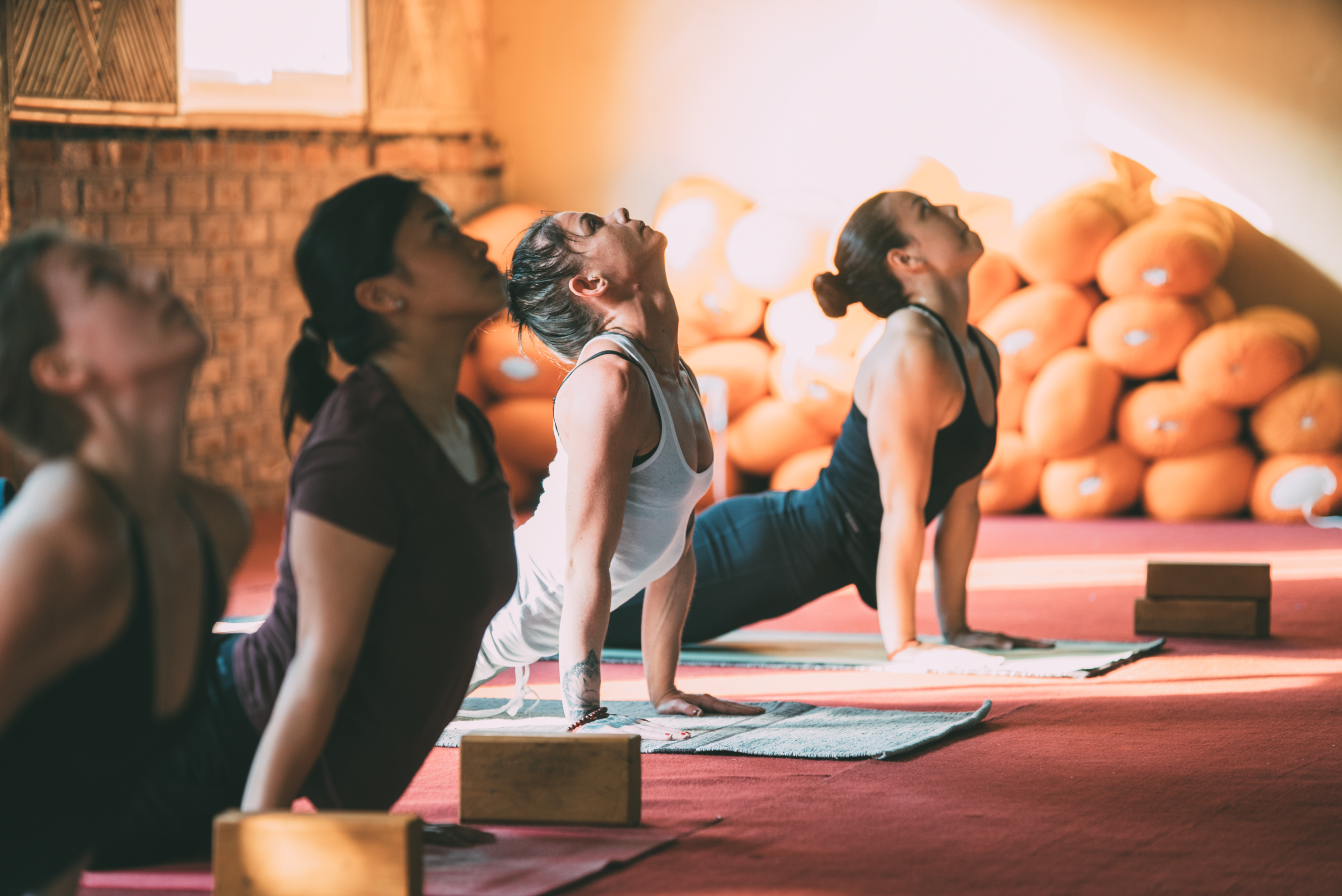 28 days training: 200 hours Fusion yoga teacher training course.