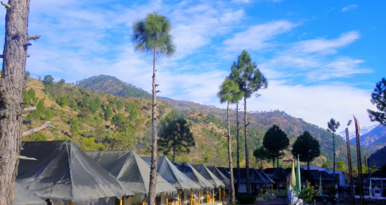 we are offering 6 night 7 days yoga retreat program at hill station