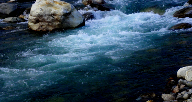 we are offering 6 night 7 days yoga retreat program at hill station