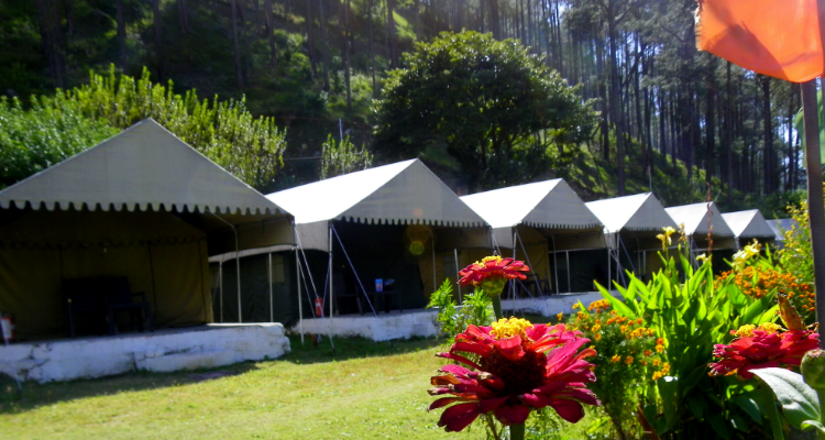 we are offering 6 night 7 days yoga retreat program at hill station