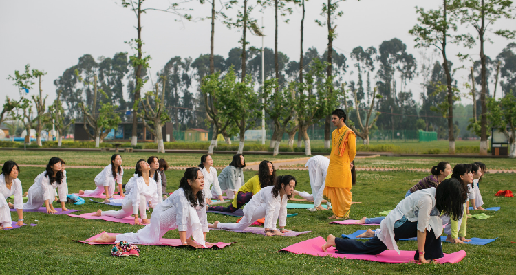 29 Days 200 hour beginners Yoga Teacher Training in Rishikesh, India