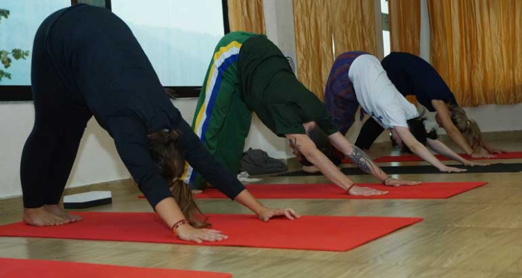 28 Days 200-Hour Integral Hatha Yoga Teacher Training in Rishikesh, India