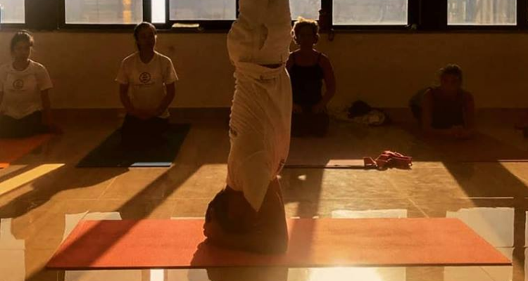 200 hours Hatha and Vinyasa yoga teacher training in Rishikesh