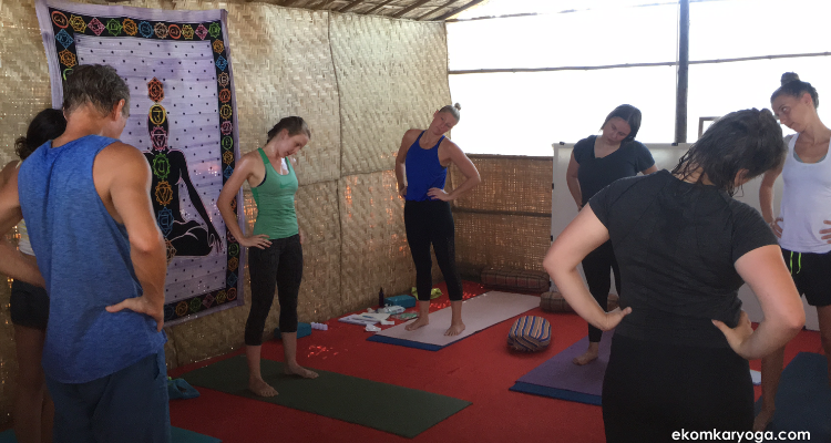 26 Days 200 Hours Multi-style Yoga Teacher Training in Goa, India