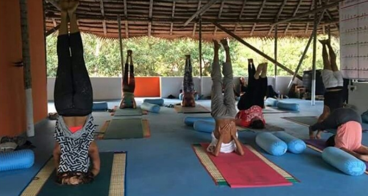 28 Days 200 Hour Hatha Yoga Teacher Training in Kerala, India