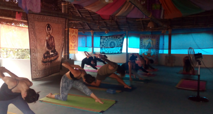 28 Days 200 Hour Hatha Yoga Teacher Training in Kerala, India