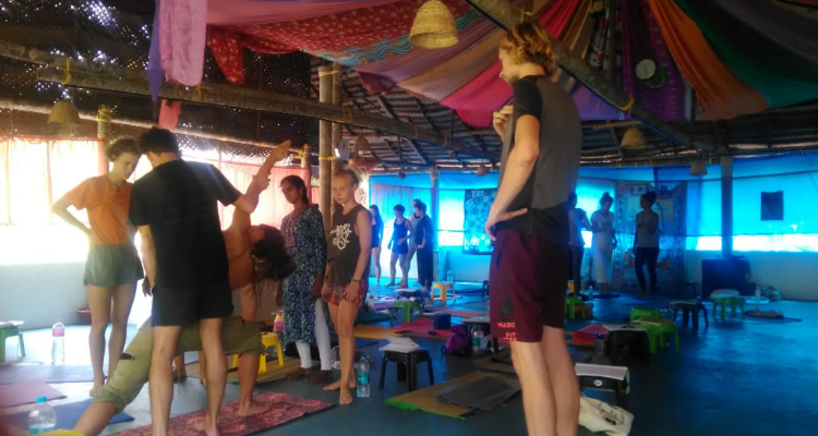 28 Days 200 Hour Hatha Yoga Teacher Training in Kerala, India