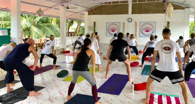 300 hour Hatha and Vinyasa Yoga Teacher Training in Goa, India