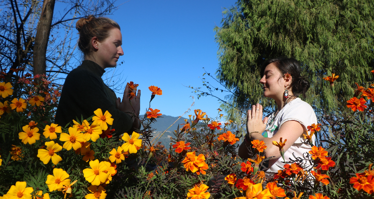 28 days 200 Hour Hatha Yoga Teacher Training course in Nepal