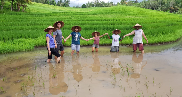 Traditional balinese culture and Yoga Retreat in Bali Indonesia