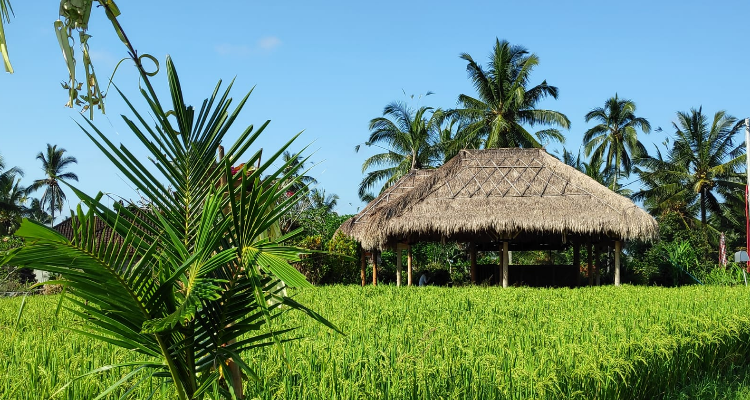 Traditional balinese culture and Yoga Retreat in Bali Indonesia