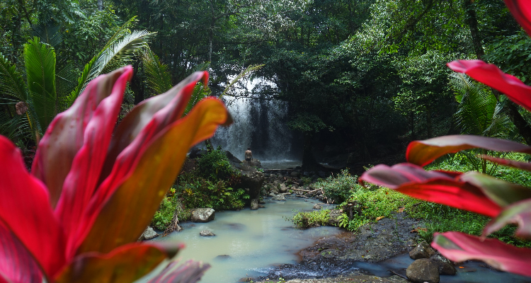 Traditional balinese culture and Yoga Retreat in Bali Indonesia