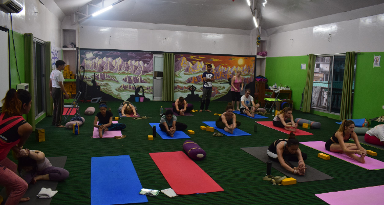 26 Days 200 Hours Hatha Yoga Teacher Training in   Rishikesh