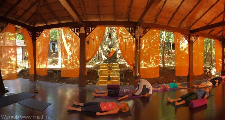 50 hours - 5  Night Aerial & Yin yoga Teacher Training  course in Goa India