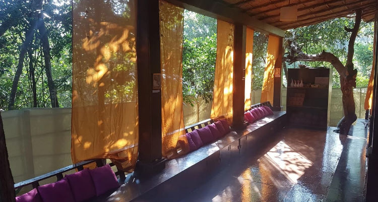 100 hours Aerial & Yin yoga Teachers traning course in Goa India