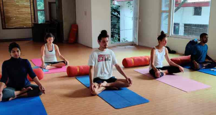 500  Hours Hatha Yoga Teacher Training in Rishikesh in India