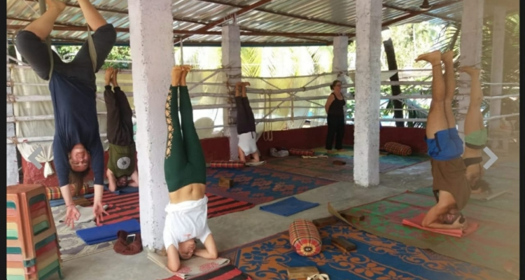 200 hour Hatha and Ashtanga yoga teacher training Course in Rishikesh, India