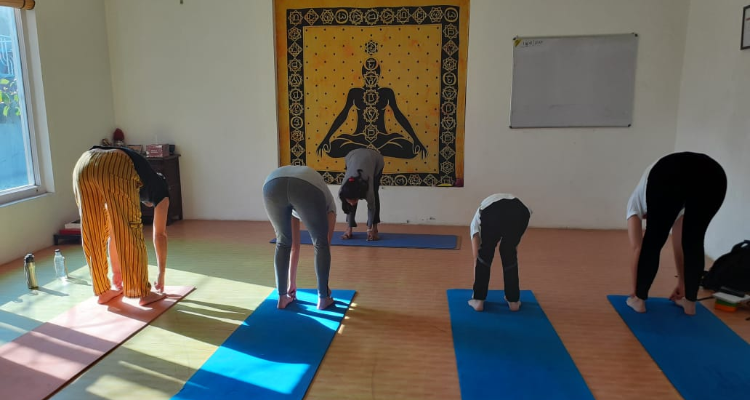 6 Days 50 Hours Beginner Aerial Yoga Course in Rishikesh, India