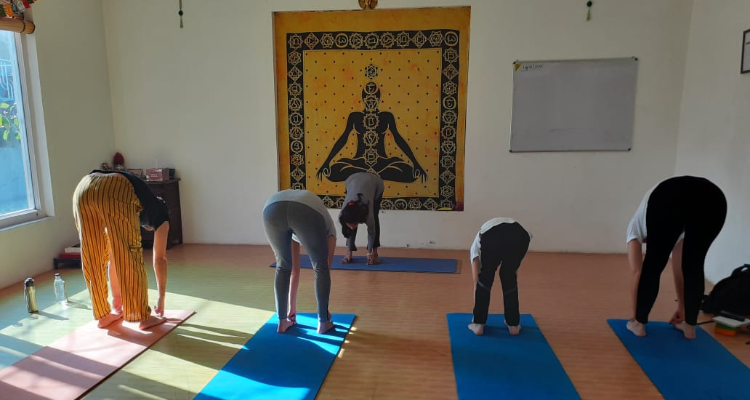 500  Hours Hatha Yoga Teacher Training in Rishikesh in India