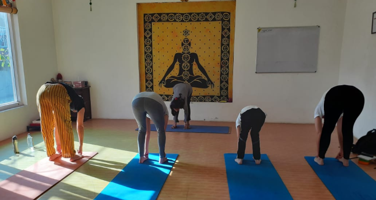 30 Days 300 Hour yoga teacher training courses in Rishikesh, India