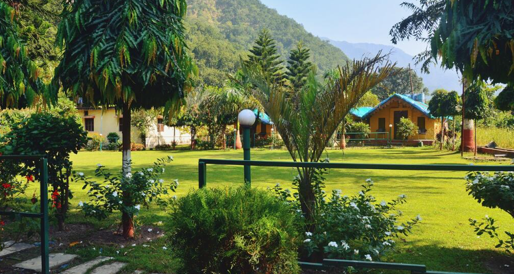 3 DAYS  DETOX YOGA  RETREAT IN RISHIKESH, UTTARAKHAND , INDIA