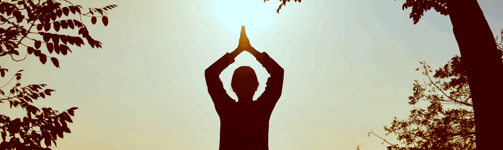 Book Yoga Studio